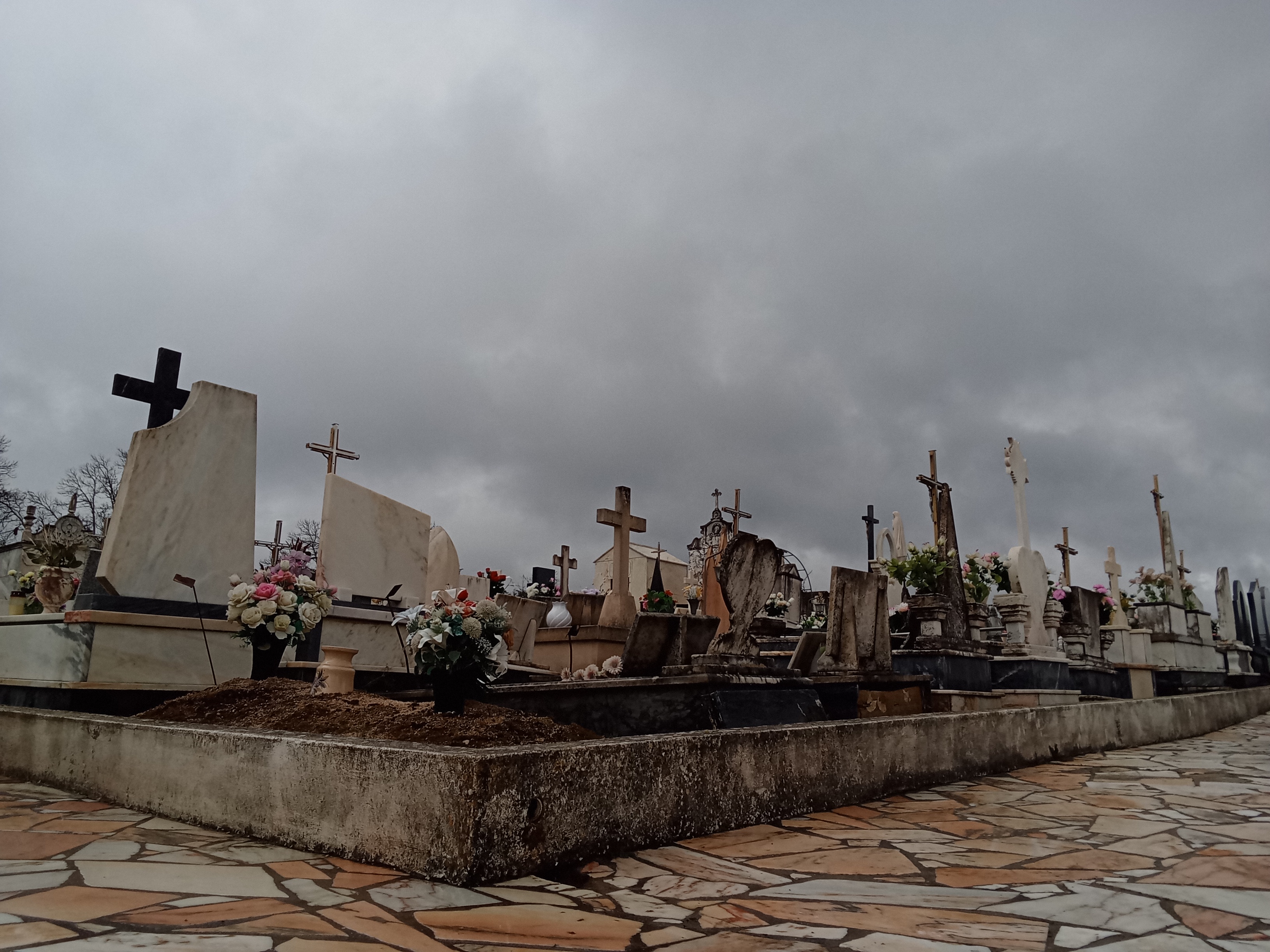 pic given to share here by my sis! good job girlie <3